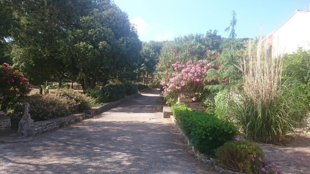 Domaine De Foresta Bonifacio  Buitenkant foto