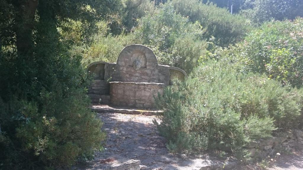 Domaine De Foresta Bonifacio  Buitenkant foto