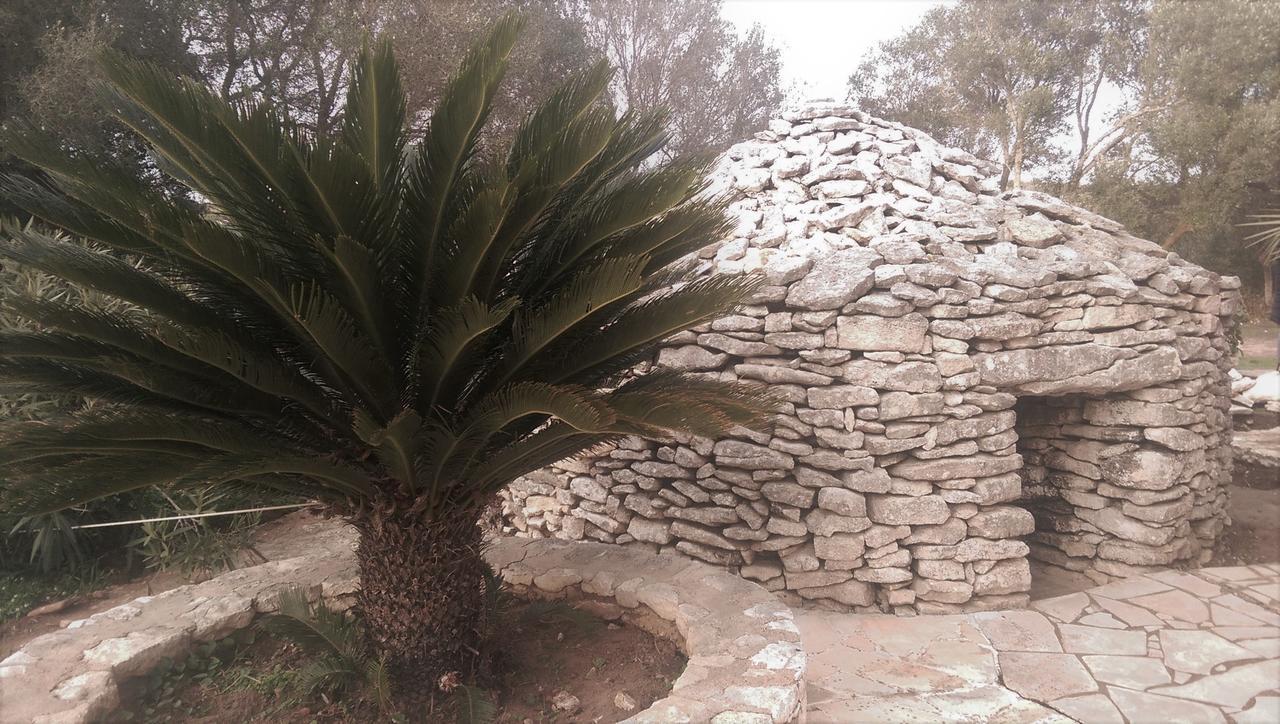 Domaine De Foresta Bonifacio  Buitenkant foto